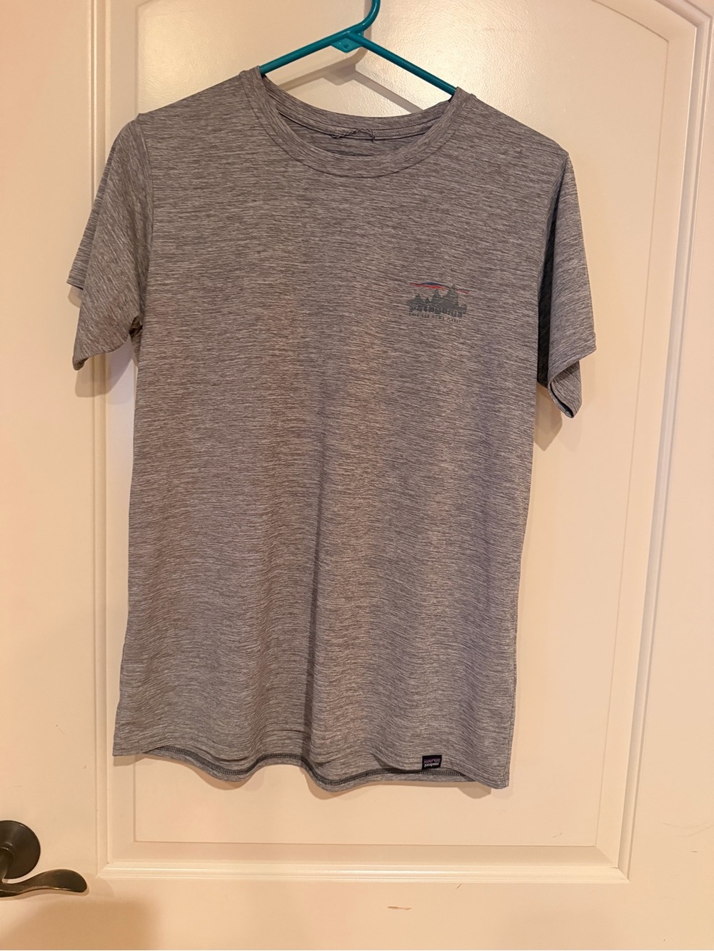 Patagonia Heather Gray Short Sleeve Crew Tee men’s L 73’ Skyline Design EUC